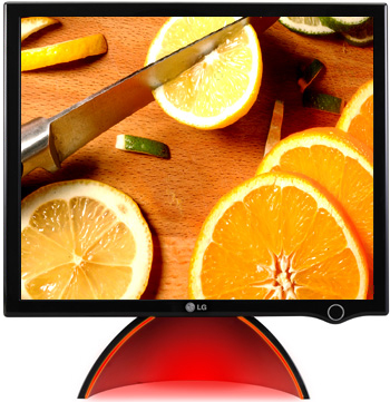 TFT  LG L1900J